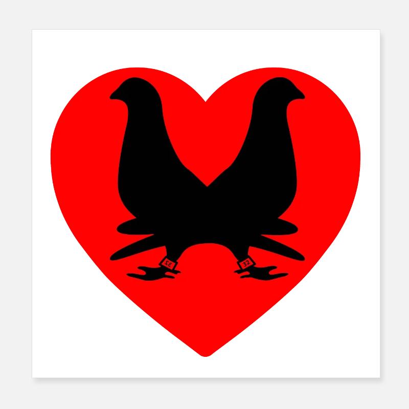 Tauben Poster 20x20 cm