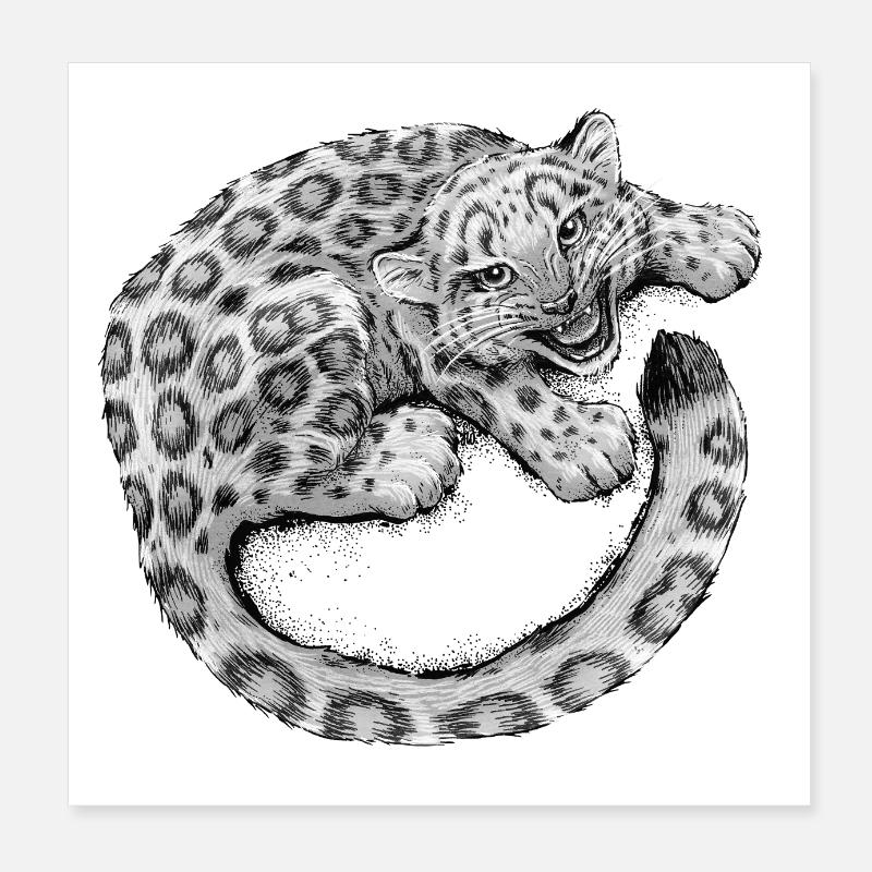 Snow Leopard Cub Poster 8" x 8" (20x20 cm)