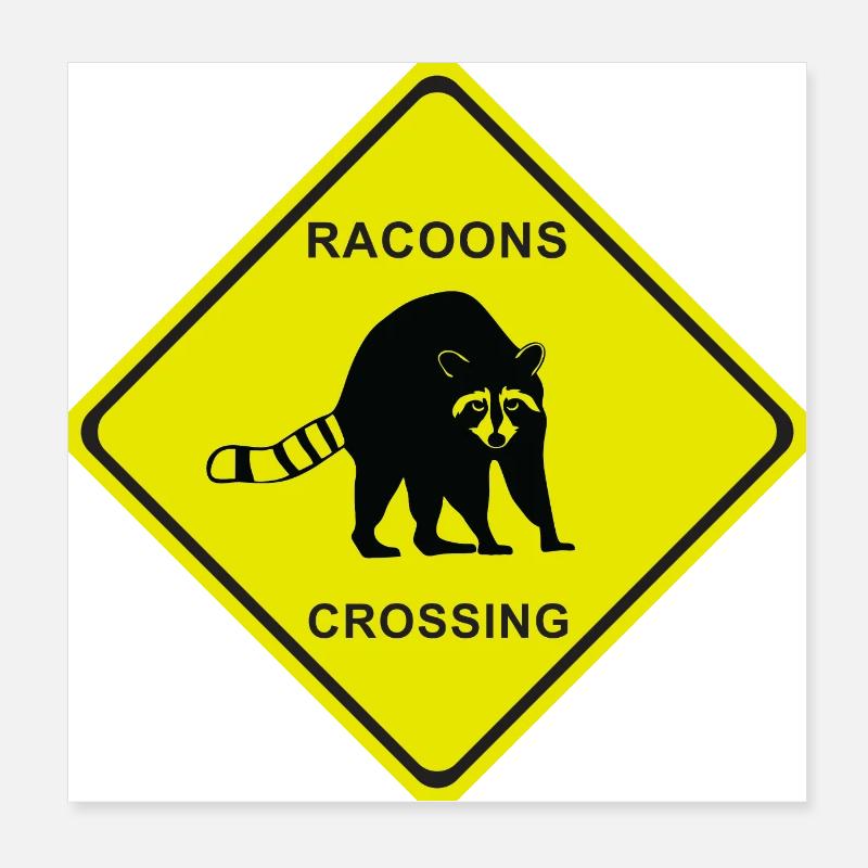 RACOONS CROSSING Poster 20x20 cm