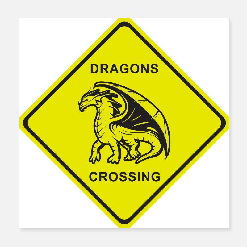 DRAGONS CROSSING Poster 20x20 cm