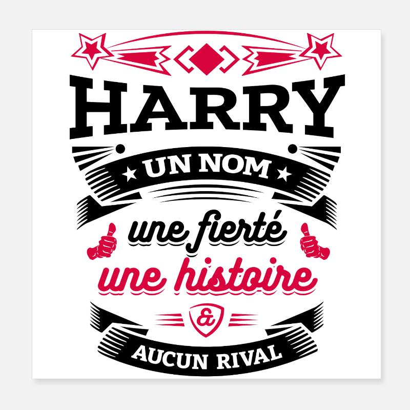 HARRY UN NOM UNE FIERTÉ AUCUN RIVAL Poster 20 x 20 cm