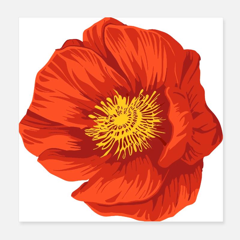 Fleur rouge - Poster 20 x 20 cm - blanc