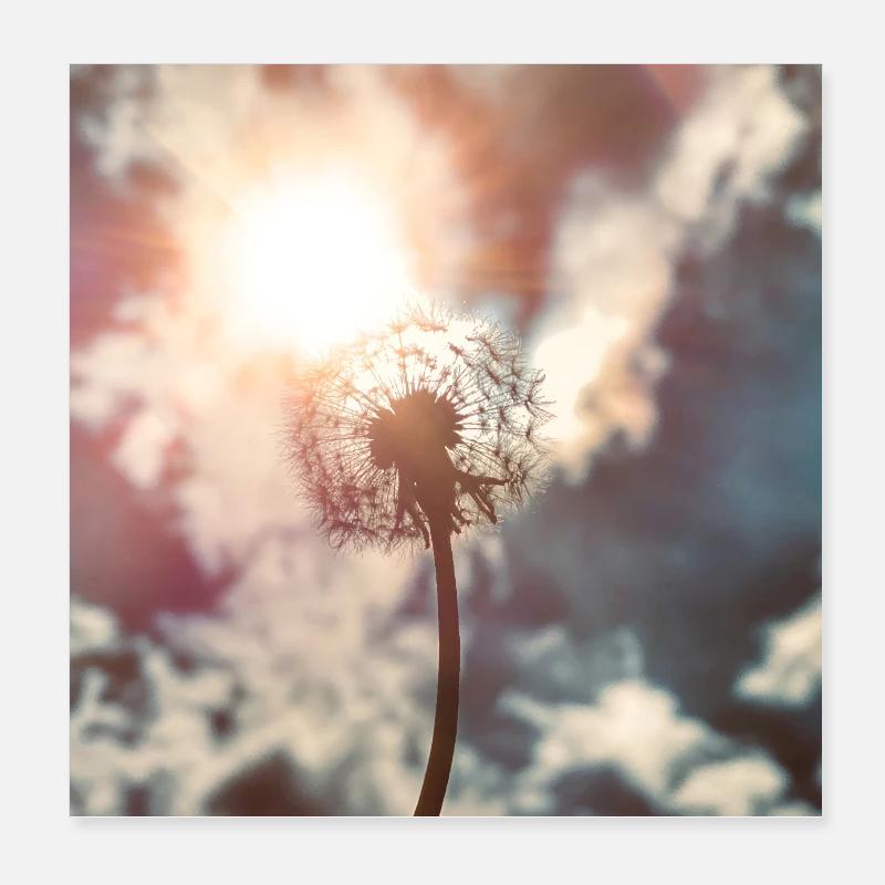 Pusteblume im Licht – Träume auf Reisen Poster 20x20 cm
