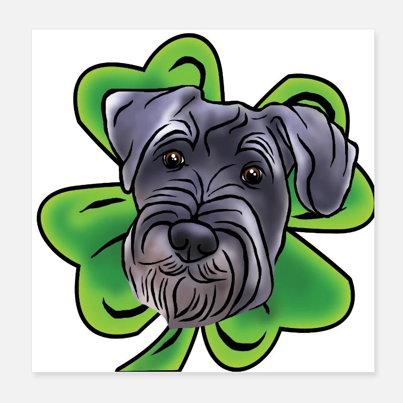 Schnauzer moyen avec trèfle Poster 20 x 20 cm