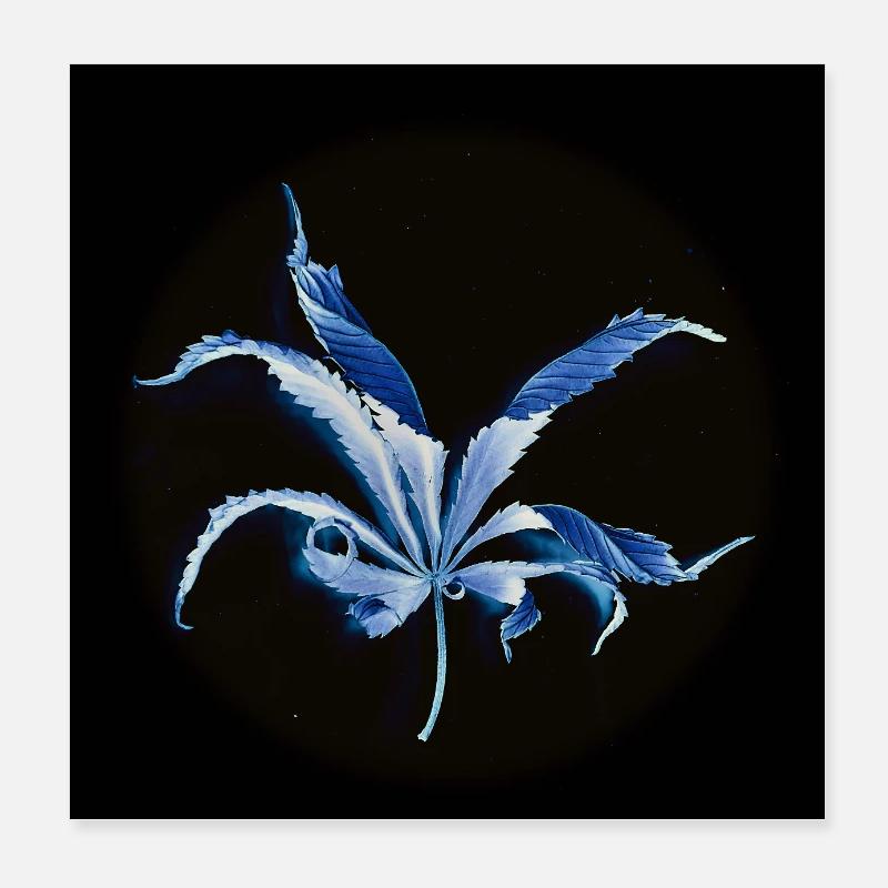 Feuille enroulée, inversée Poster 20 x 20 cm