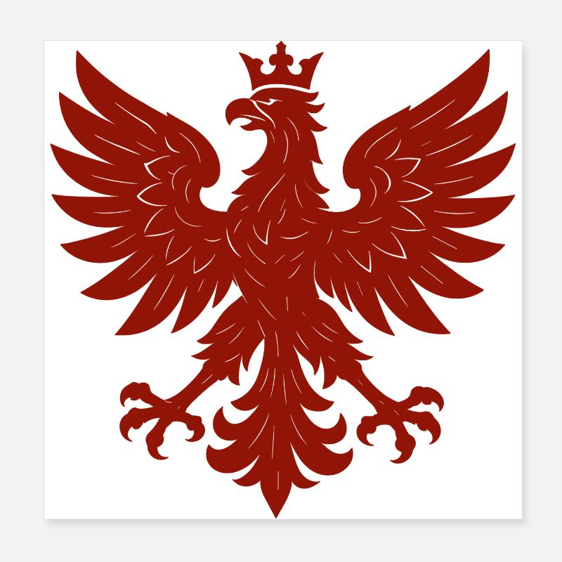 Pologne Polska aigle drapeau drapeau épique cadeau Poster 20 x 20 cm