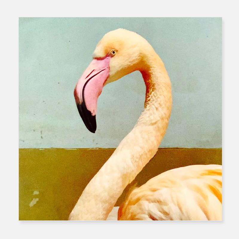 Flamingo Poster 8" x 8" (20x20 cm)