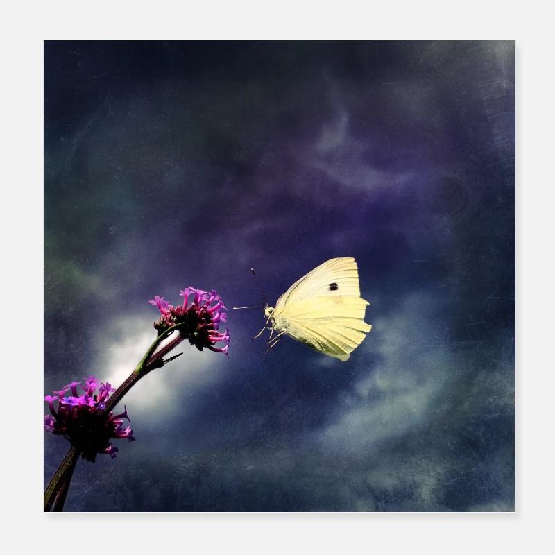 Approche en mode orage - Poster 20 x 20 cm - blanc