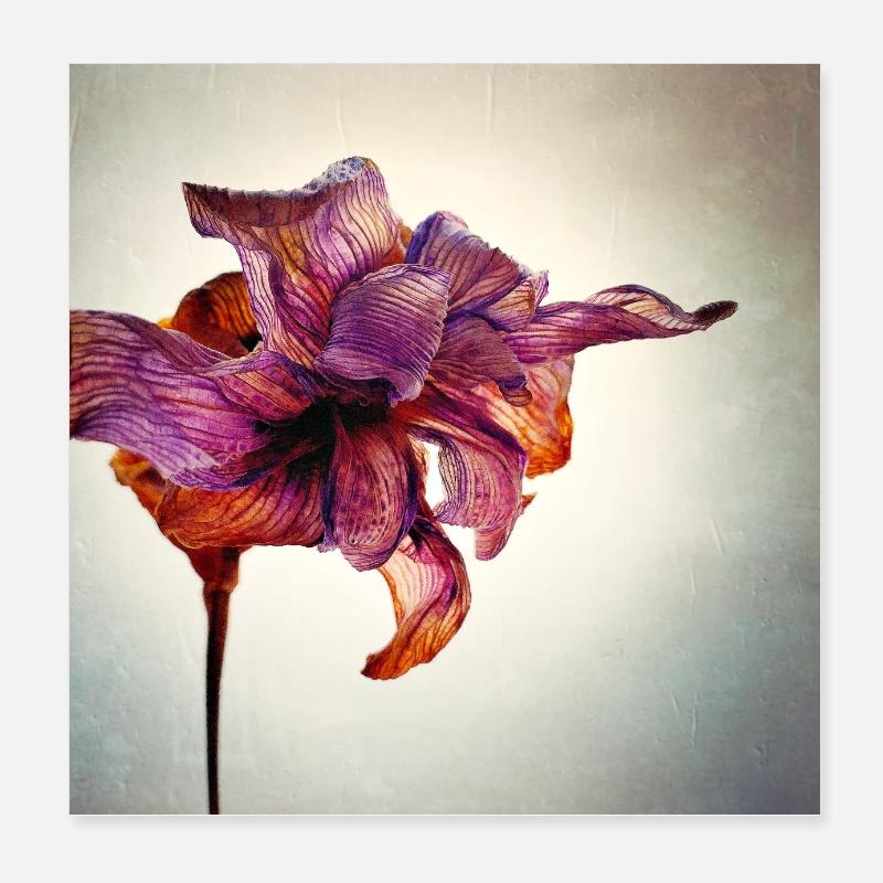 Withered Flower Poster 8" x 8" (20x20 cm)