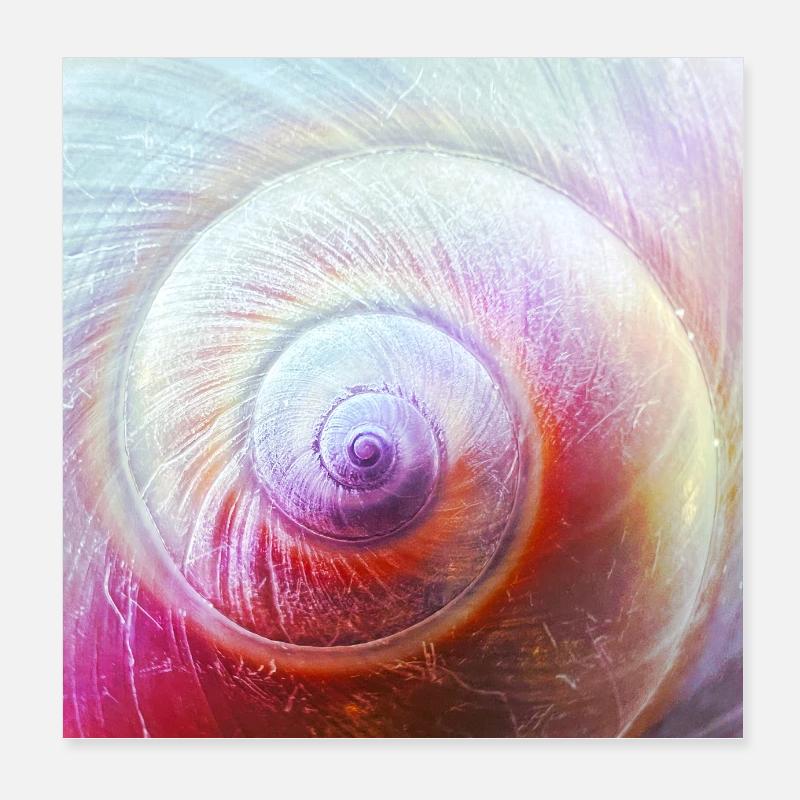 Bol en spirale Poster 20 x 20 cm