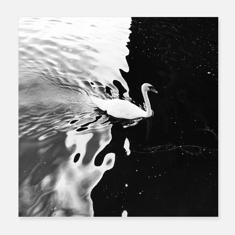 De la lumière aux ténèbres Poster 20 x 20 cm