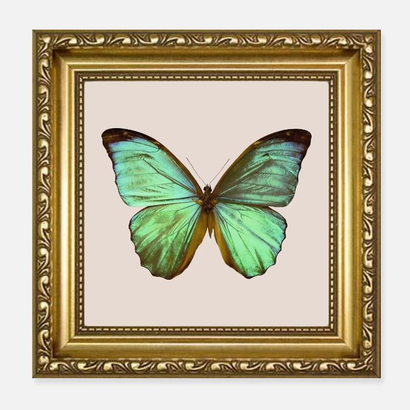 Papillon émeraude dans un cadre doré Poster 20 x 20 cm