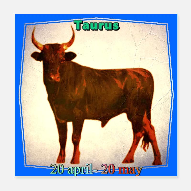 bull - Poster 8" x 8" (20x20 cm) - white