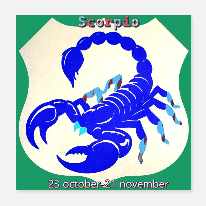 Skorpion - Poster 20x20 cm - Weiß
