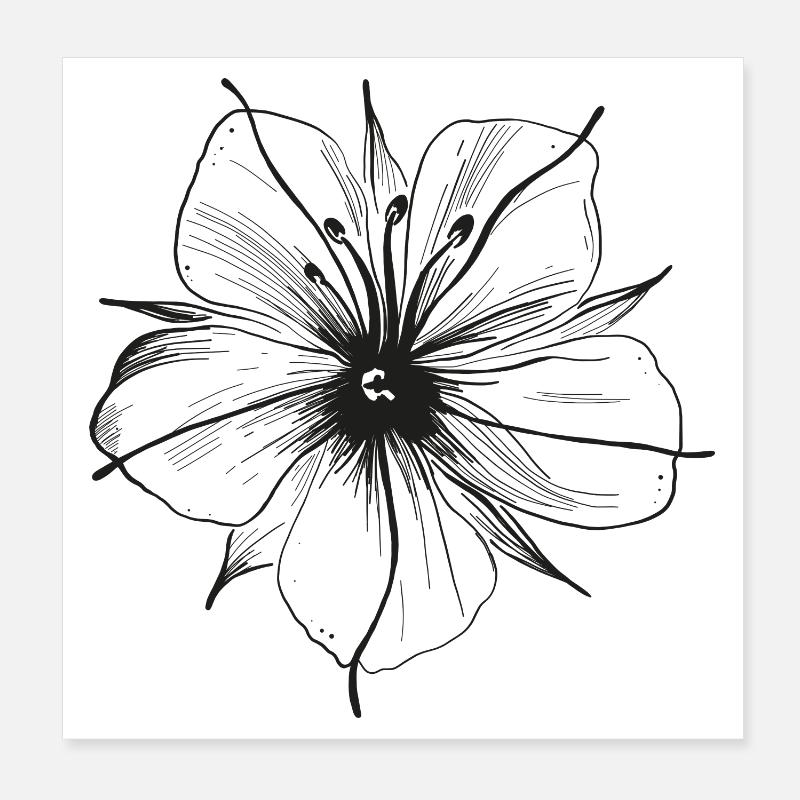 Filigrane Blume. Blüte im Sommer. Poster 20x20 cm