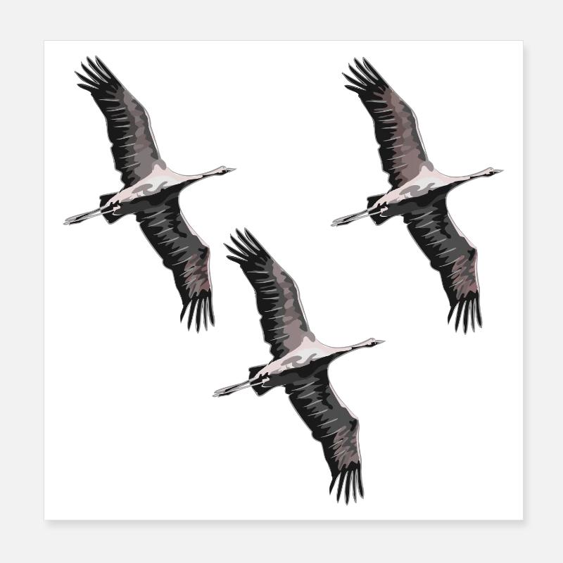 Grues migratrices d’oiseaux dans les tons de gris Poster 20 x 20 cm
