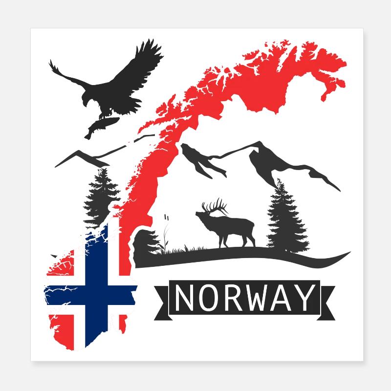 Norvège Topographie Drapeau Norvège Design Poster 20 x 20 cm