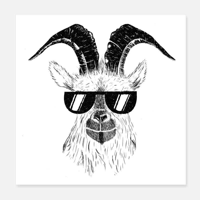 Chèvres Poster 20 x 20 cm