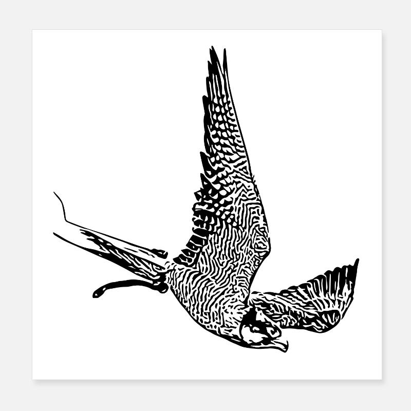 Falcon in a nosedive Poster 8" x 8" (20x20 cm)