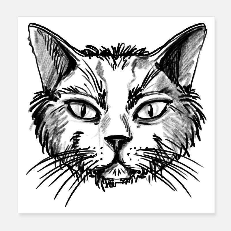 Old Cat Poster 8" x 8" (20x20 cm)