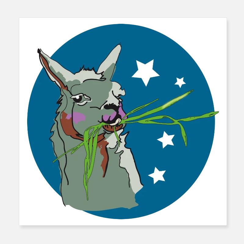 Lama Poster 20 x 20 cm