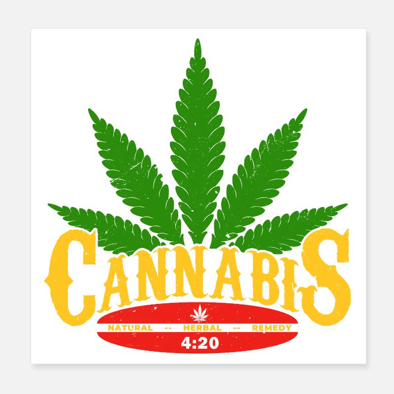 Cannabis Logo with Leaf and 420 Detail Poster 8" x 8" (20x20 cm)