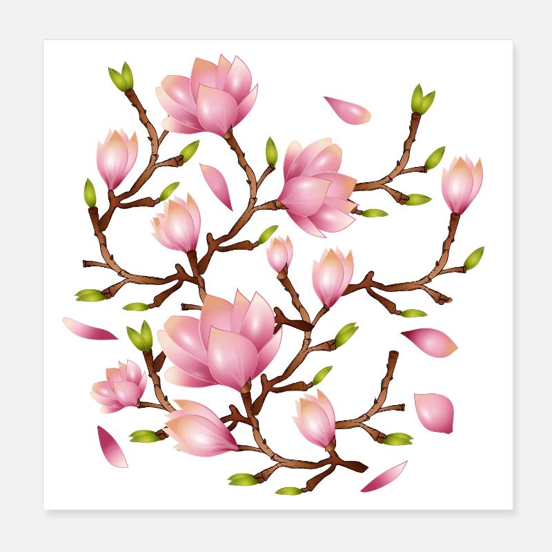 Illustration de fleurs exotiques de magnolia Poster 20 x 20 cm