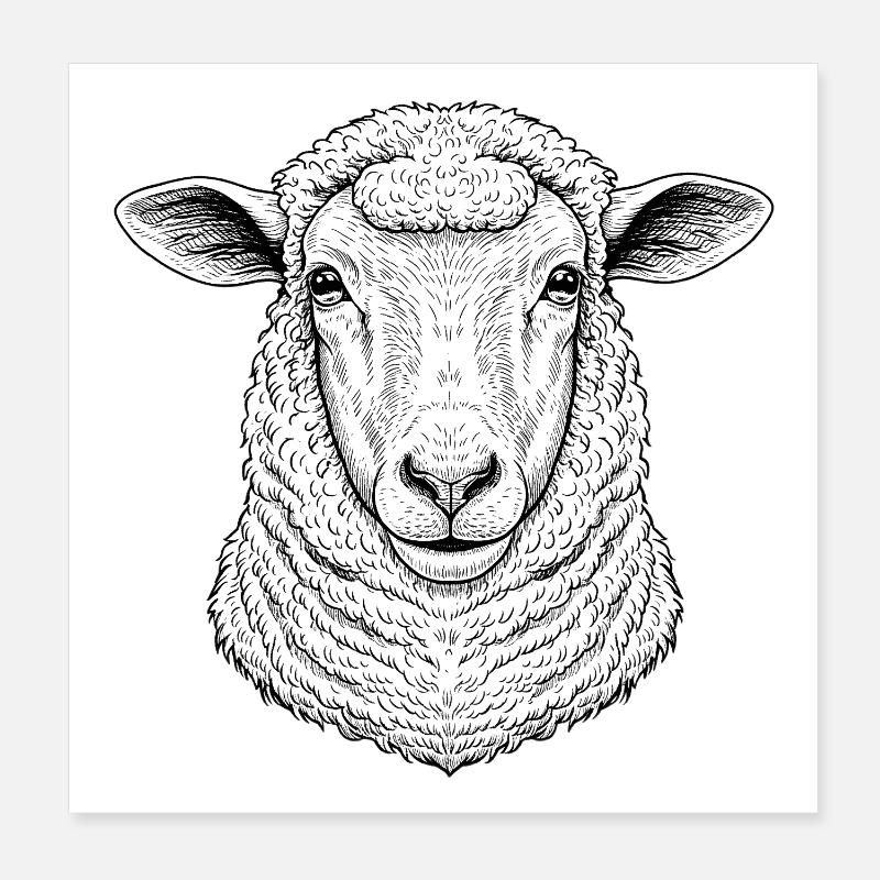 Schaf - Poster 20x20 cm - Weiß