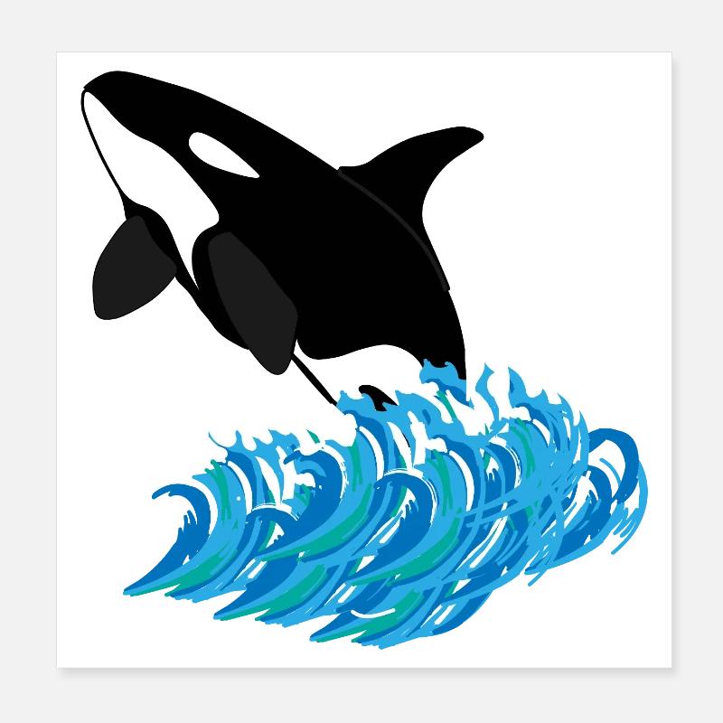 Orca-Druck Poster 20x20 cm