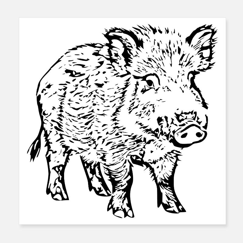 Wildschwein Poster 20x20 cm