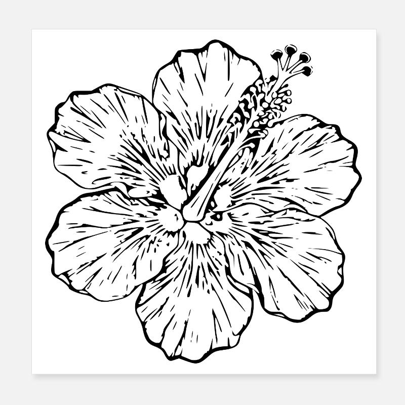 Cadeau de Noël de fleurs d’hibiscus hawaïen, fleurs d’hibiscus Poster 20 x 20 cm