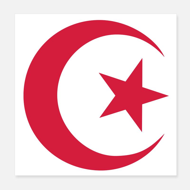 Drapeau algérien Poster 20 x 20 cm