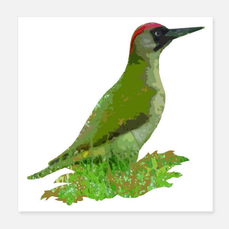 pivert Poster 20 x 20 cm