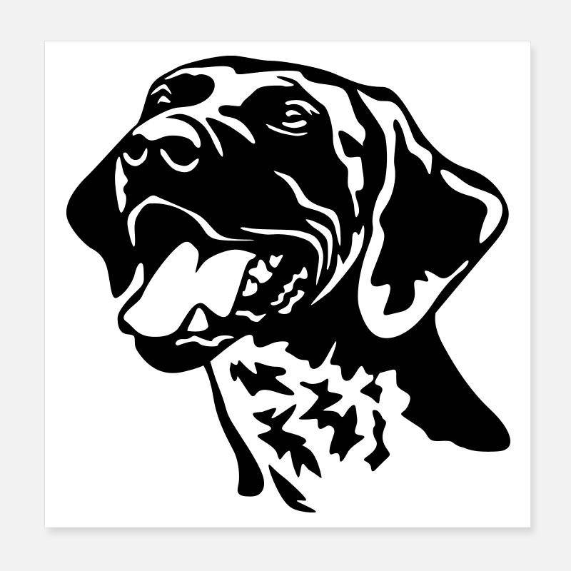 Deutsch Kurzhaar Kopf Poster 20x20 cm