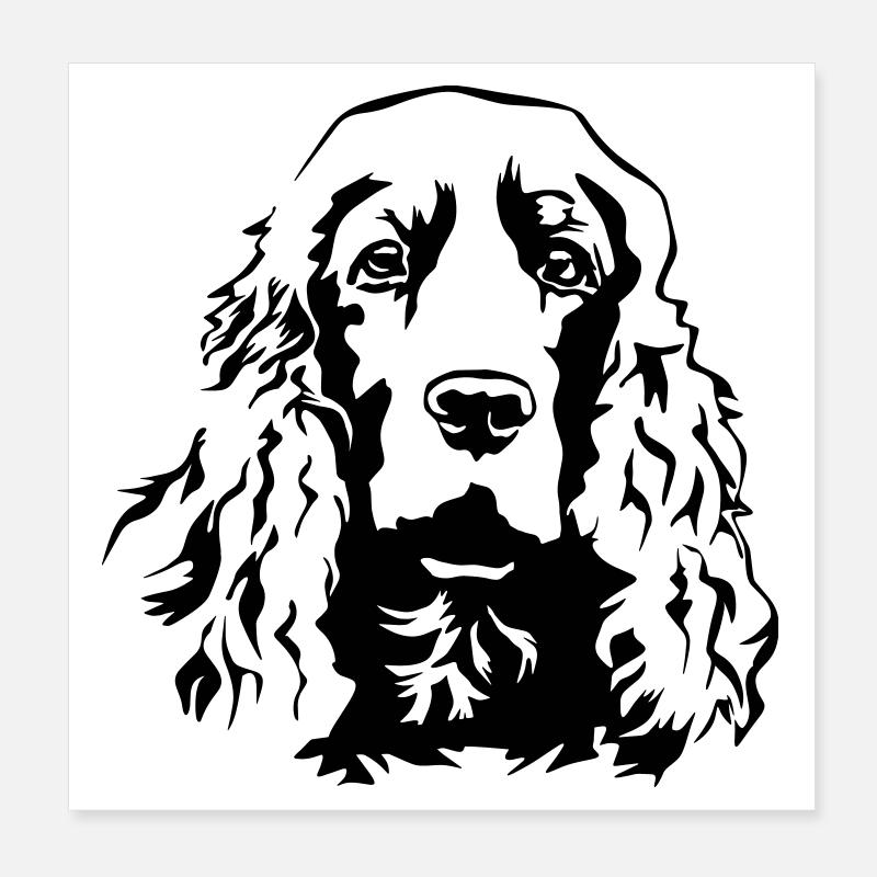 Cocker Spaniel head Poster 8" x 8" (20x20 cm)