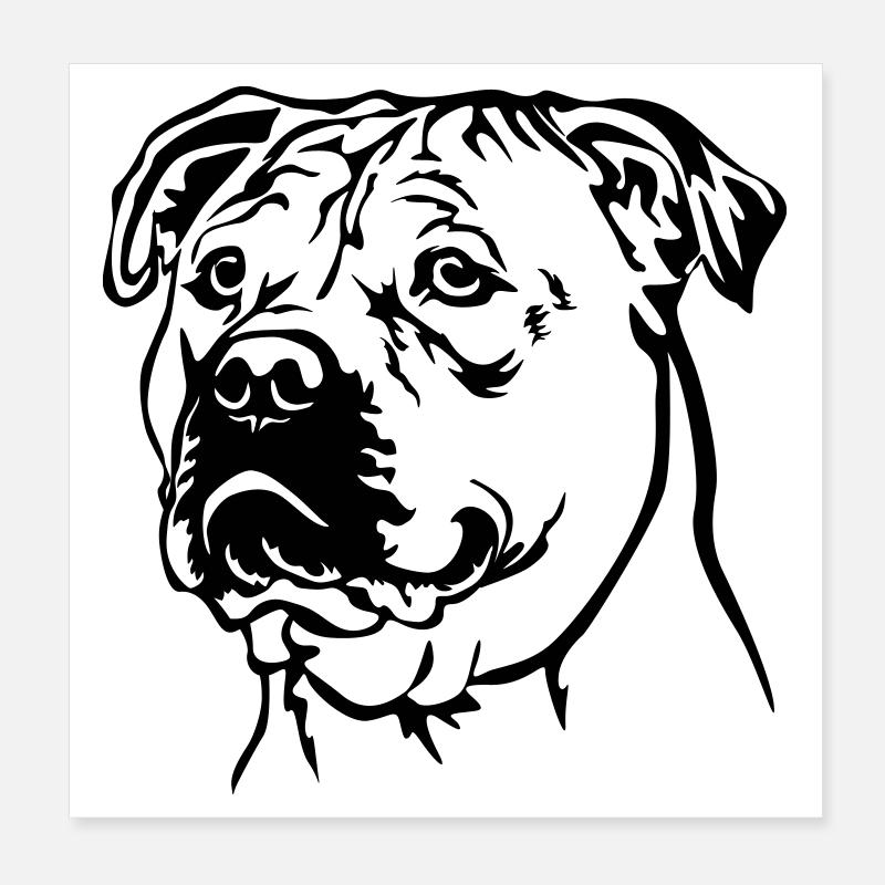 Perro Dogo Mallorquin Kopf Poster 20x20 cm