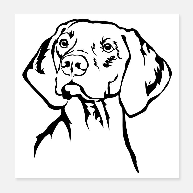 Magyar Vizsla Kopf Poster 20x20 cm