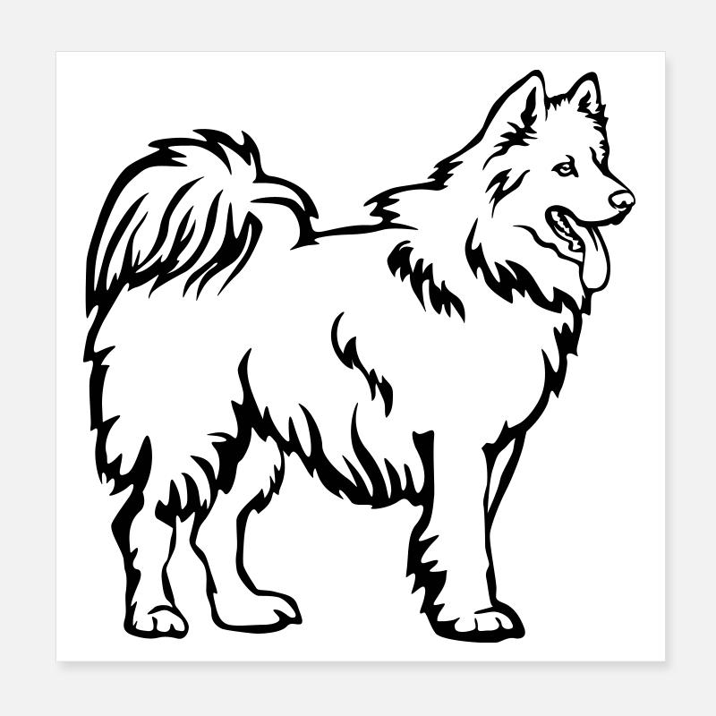 Samojede Poster 20x20 cm