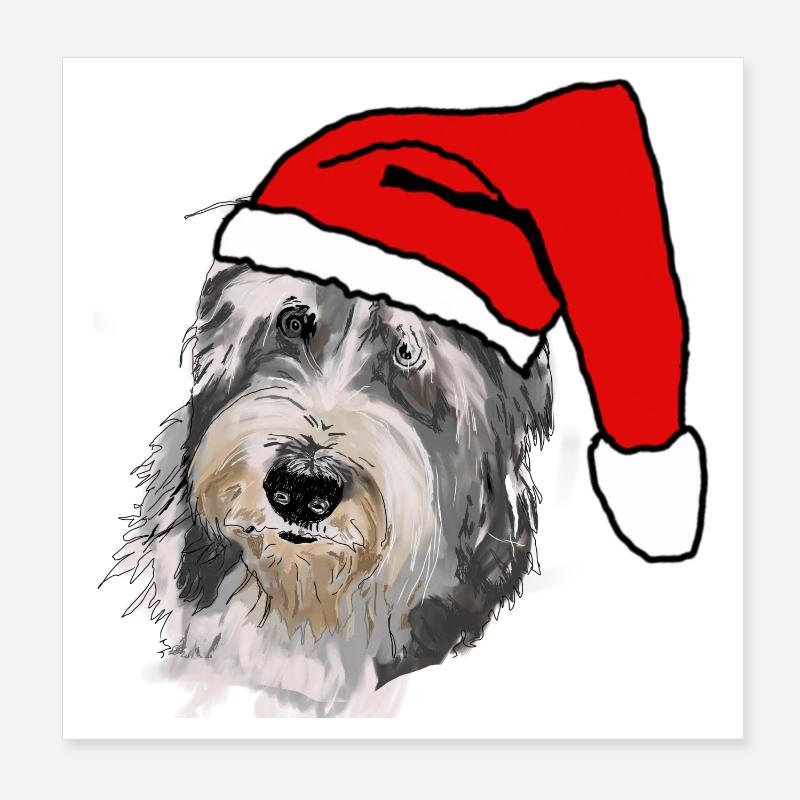 Bearded Collie Poster 8" x 8" (20x20 cm)