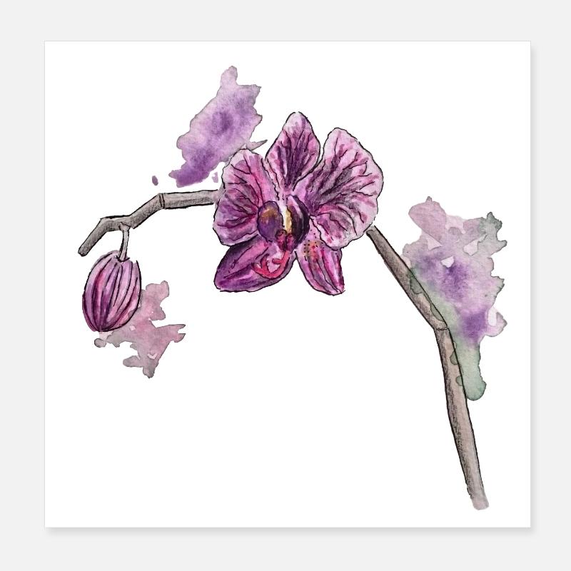 Orchidée - Plante - Fleur Poster 20 x 20 cm