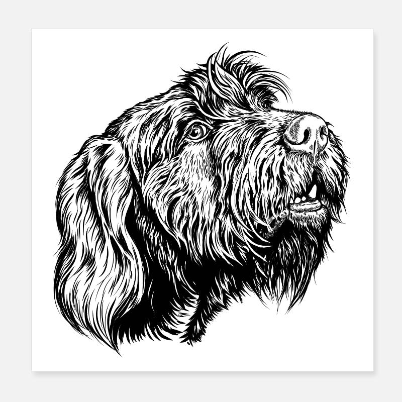 Pudelpointer joins in the conversation Poster 8" x 8" (20x20 cm)