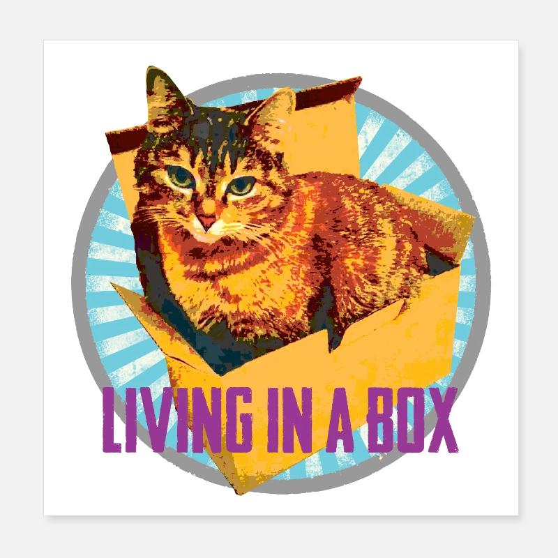 Cat lovers - In a box :-) Poster 8" x 8" (20x20 cm)
