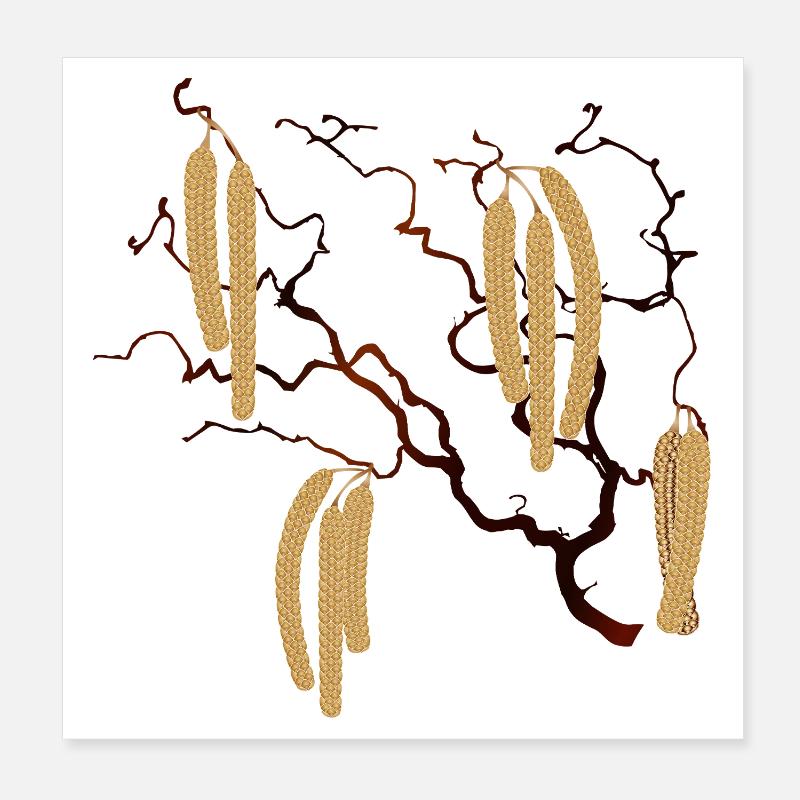 Branche de noisetier en tire-bouchon avec chatons de noisetier doré Poster 20 x 20 cm