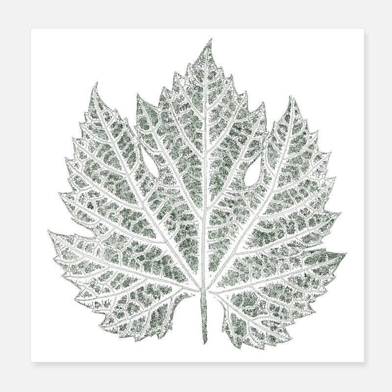 Grape Leaf / Nature Graphic Leaf Poster 8" x 8" (20x20 cm)