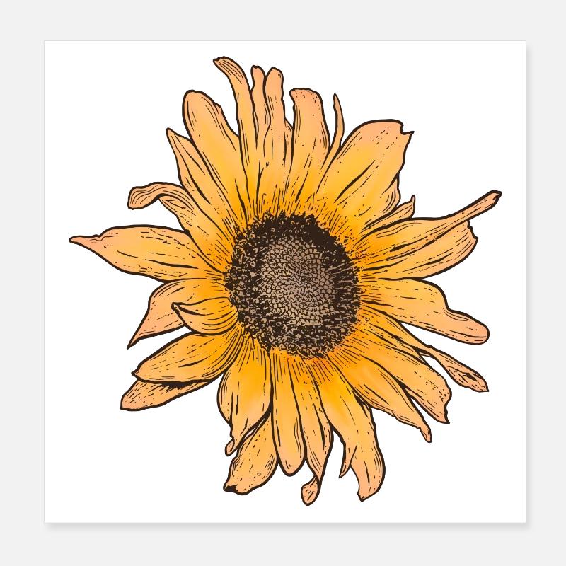 Sonnenblume Sonne Sommer - Poster 20x20 cm - Weiß