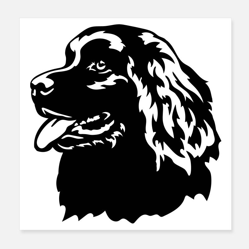 Neufundländer Kopf Poster 20x20 cm