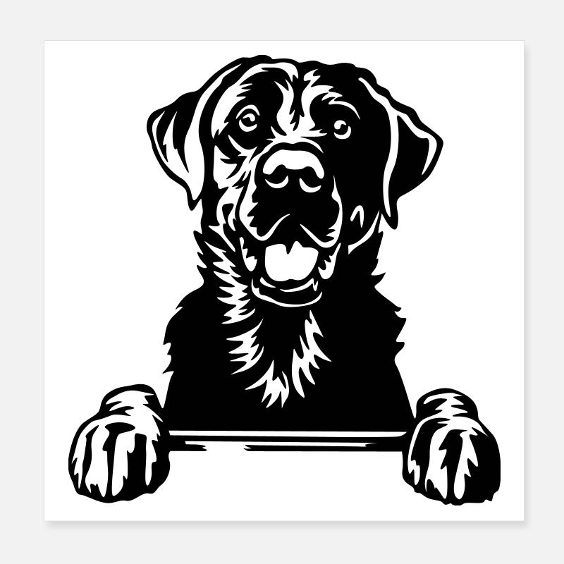 Labrador Head Poster 8" x 8" (20x20 cm)