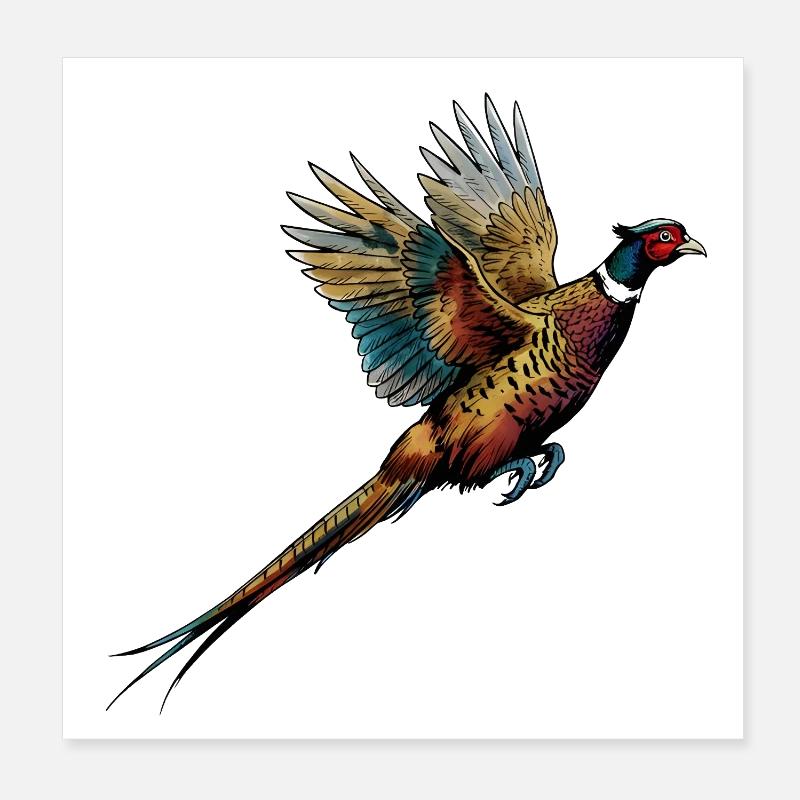 Coloured pheasant in flight Poster 8" x 8" (20x20 cm)