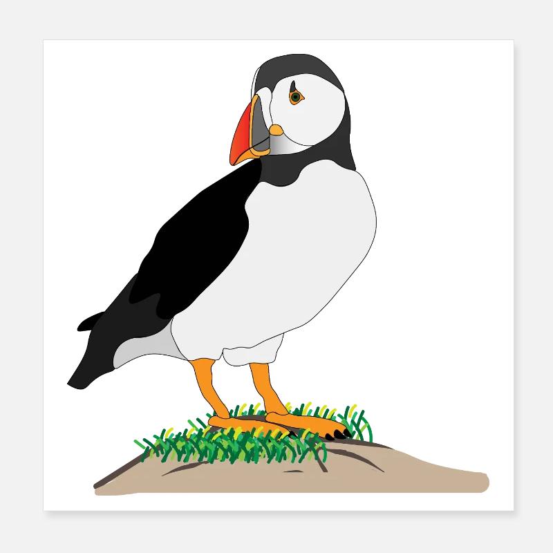 Puffin Print - Poster 20x20 cm - Weiß