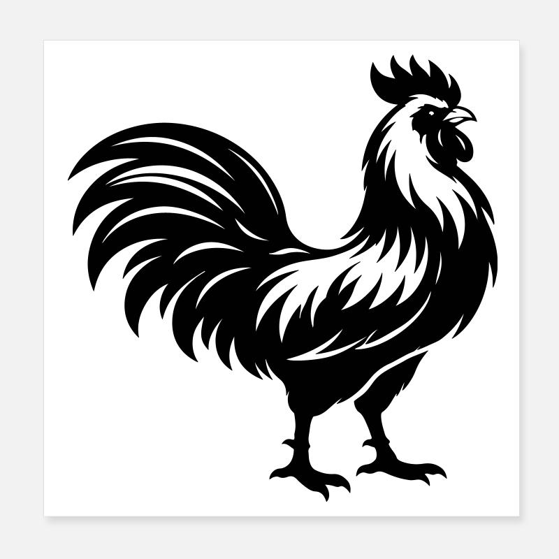 Silhouette du coq Poster 20 x 20 cm
